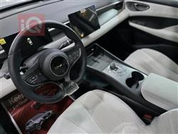 بي واي دي سيل 05 DM-i